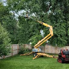 Best Lawn Maintenance Plans  in Crestview Hills, KY
