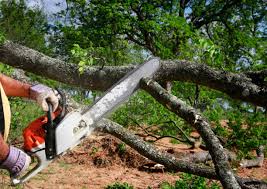 Best Lawn Mowing  in Crestview Hills, KY