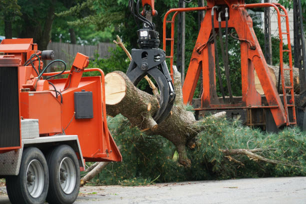 Best Weed Control  in Crestview Hills, KY