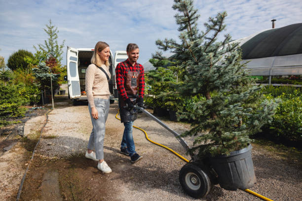 Best Fruit Tree Pruning  in Crestview Hills, KY