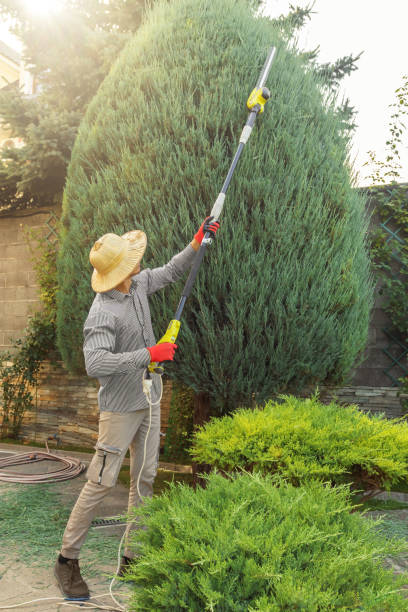 Best Organic Lawn Care Solutions  in Crestview Hills, KY